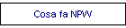 Cosa fa NPW