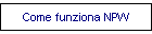 Come funziona NPW